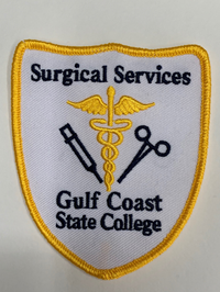 Patch GCSC Surgical Services