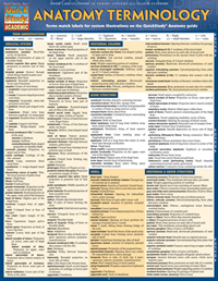 Anatomy Terminology Laminated Study Guide