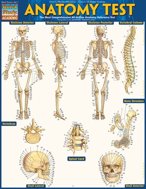 Anatomy Test Laminated Study Guide