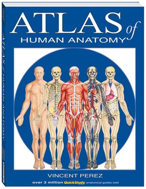Atlas of Human Anatomy Book
